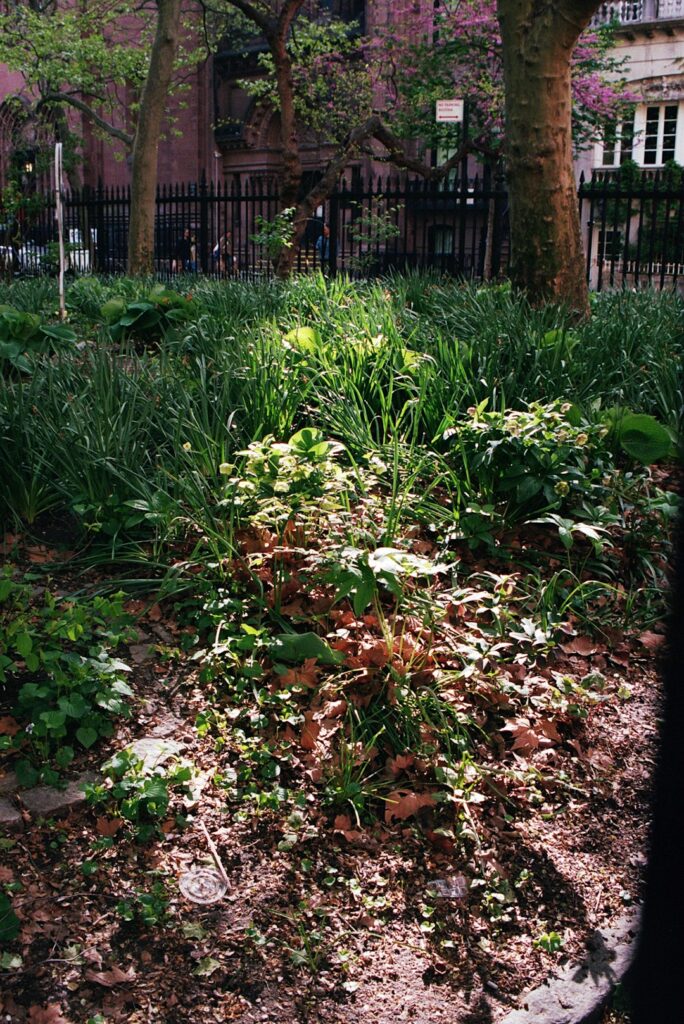 Photo by Yimeng Zhao on Unsplash